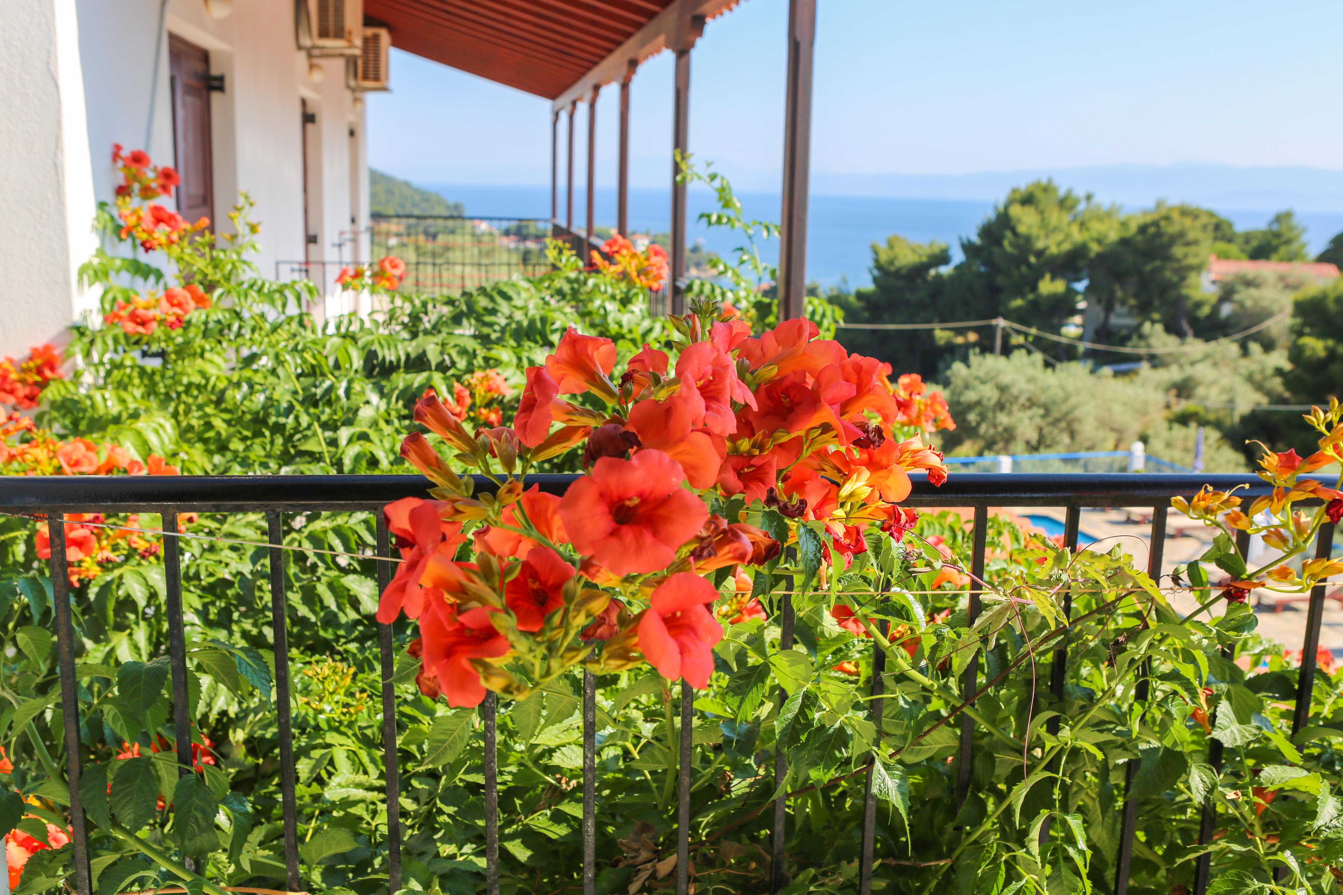 Angelina Studios Platanias  Exterior foto